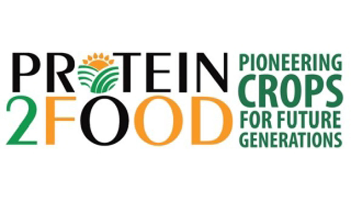 Plant protein Plant protein