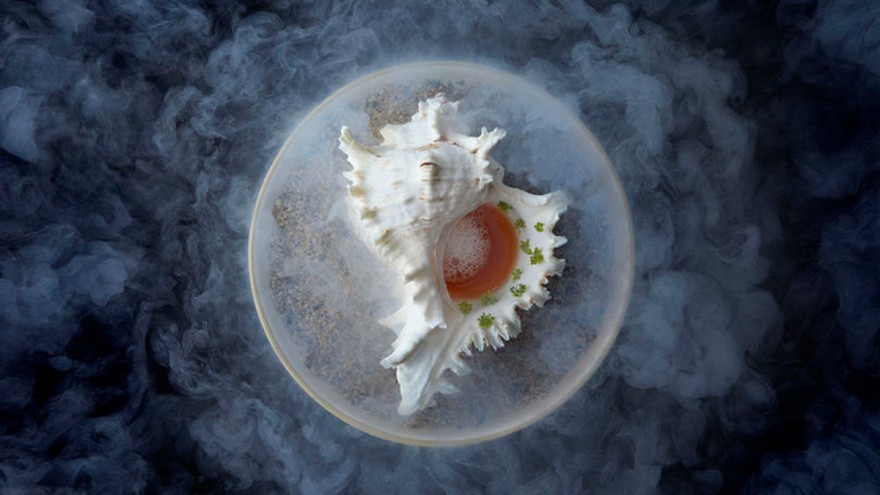 Shell