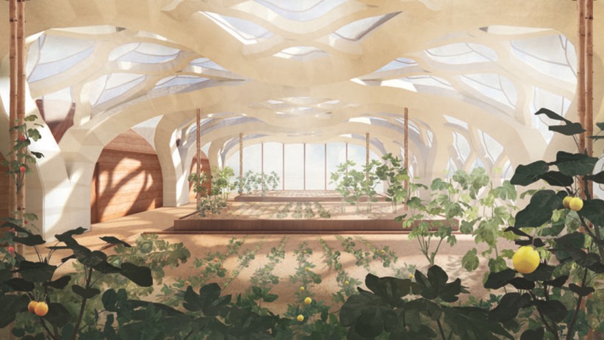 Greenhouse