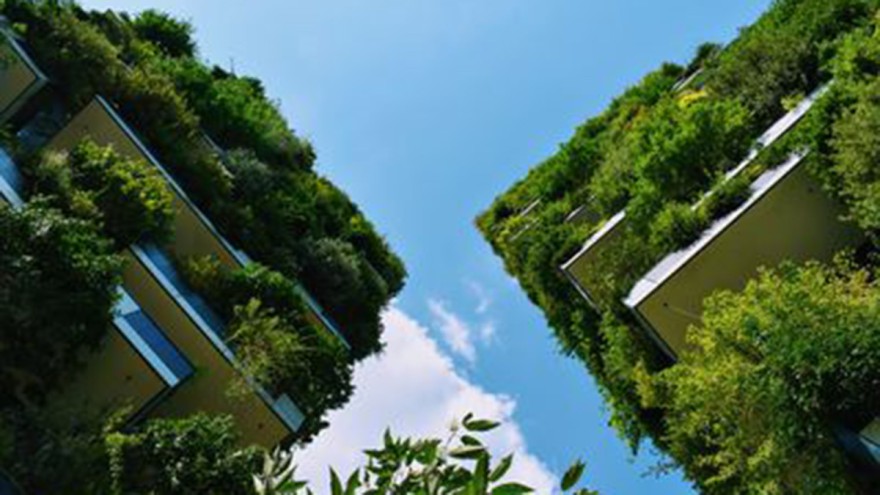 Building with plants