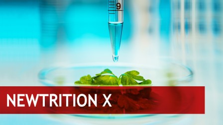 Personalised diets offers dietary solutions tailor-made to suit the individual organism