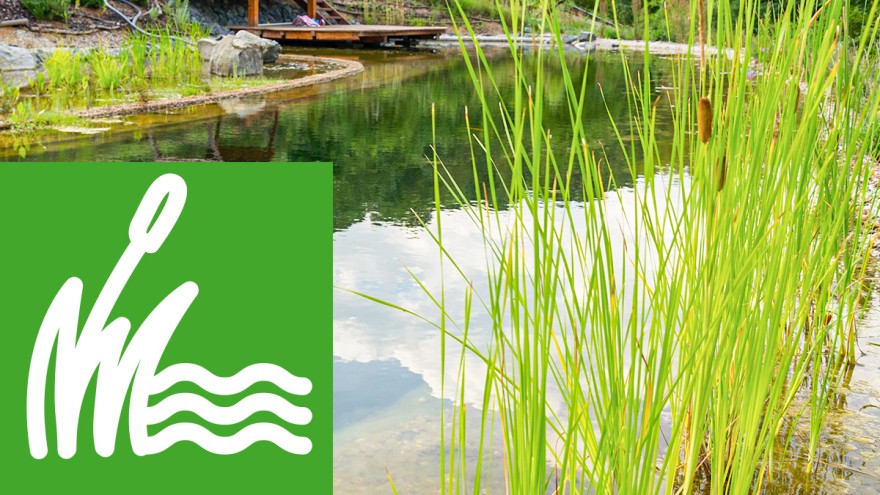 Green Living – Nachhaltiger Badespaß für Naturfreunde Green Living – Nachhaltiger Badespaß für Naturfreunde