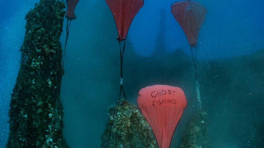 Bild: Healthy Seas Healthy Seas