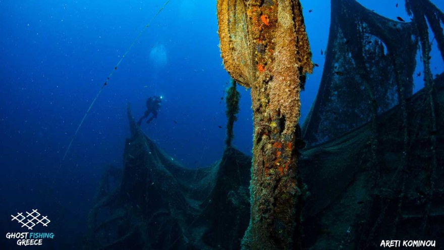 Healthy Seas Healthy Seas