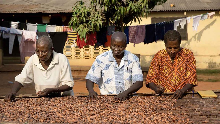 Cocoa drying ©tonyschocolonely Cocoa drying ©tonyschocolonely