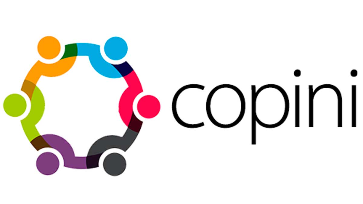 Copini Consulting Ltd. Logo Copini Consulting Ltd.