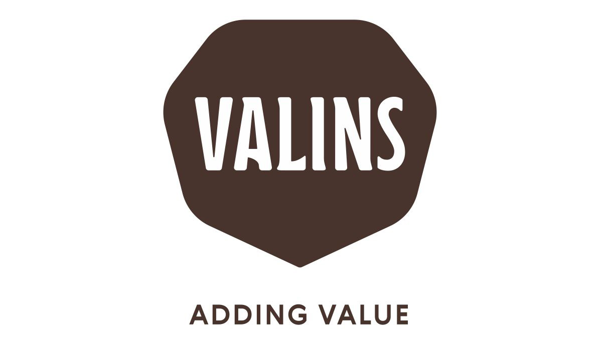 Logo Valins GmbH Logo Valins GmbH