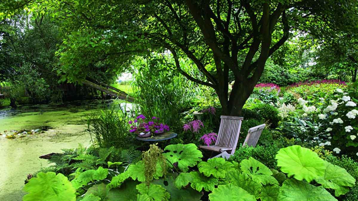10.000 Quadratmeter groß ist das grüne Refugium „Im Holsteinischen Garten Eden“ der Gartenplanerin Fenna Graf von GrafGarten, die ihre Anlage als Bauerngarten mit modernen Elementen beschreibt. So gibt es sowohl naturnah gestaltete Bereiche mit zwei großen Naturteichen, als auch formal geschnittene Immergrüne und schlichte Wasserläufe und -becken. – Foto: Gölz/Neubauer, Gärten des Jahres 2019, Callwey 10.000 Quadratmeter groß ist das grüne Refugium „Im Holsteinischen Garten Eden“ der Gartenplanerin Fenna Graf von GrafGarten, die ihre Anlage als Bauerngarten mit modernen Elementen beschreibt. So gibt es sowohl naturnah gestaltete Bereiche mit zwei großen Naturteichen, als auch formal geschnittene Immergrüne und schlichte Wasserläufe und -becken. – Foto: Gölz/Neubauer, Gärten des Jahres 2019, Callwey
