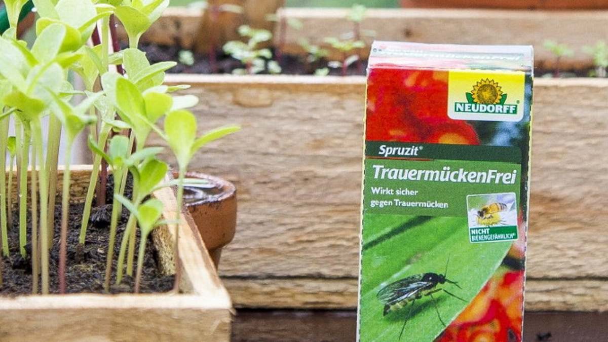 Many insecticides and pesticides carry the imprint "Not dangerous for bees". – Photo: Neudorff Many insecticides and pesticides carry the imprint "Not dangerous for bees". – Photo: Neudorff