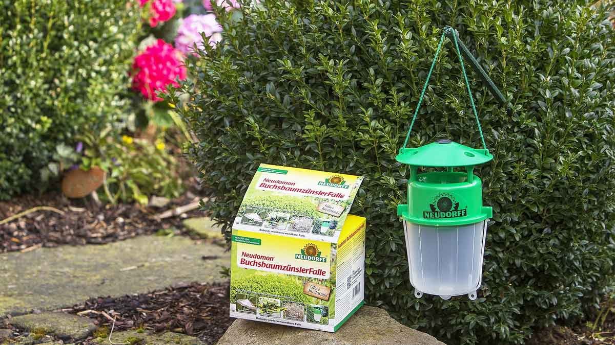 “Neudomon Buchsbaumzünslerfalle“ (box tree moth trap) - Photo: Neudorff “Neudomon Buchsbaumzünslerfalle“ (box tree moth trap) - Photo: Neudorff
