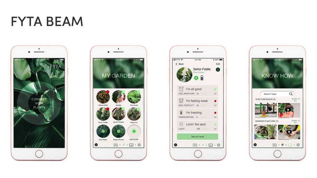 The user is informed about the needs of his room plants via the FYTA app. Furthermore, it contains many other useful and inspiring tips on the theme. – Photo: FYTA The user is informed about the needs of his room plants via the FYTA app. Furthermore, it contains many other useful and inspiring tips on the theme. – Photo: FYTA