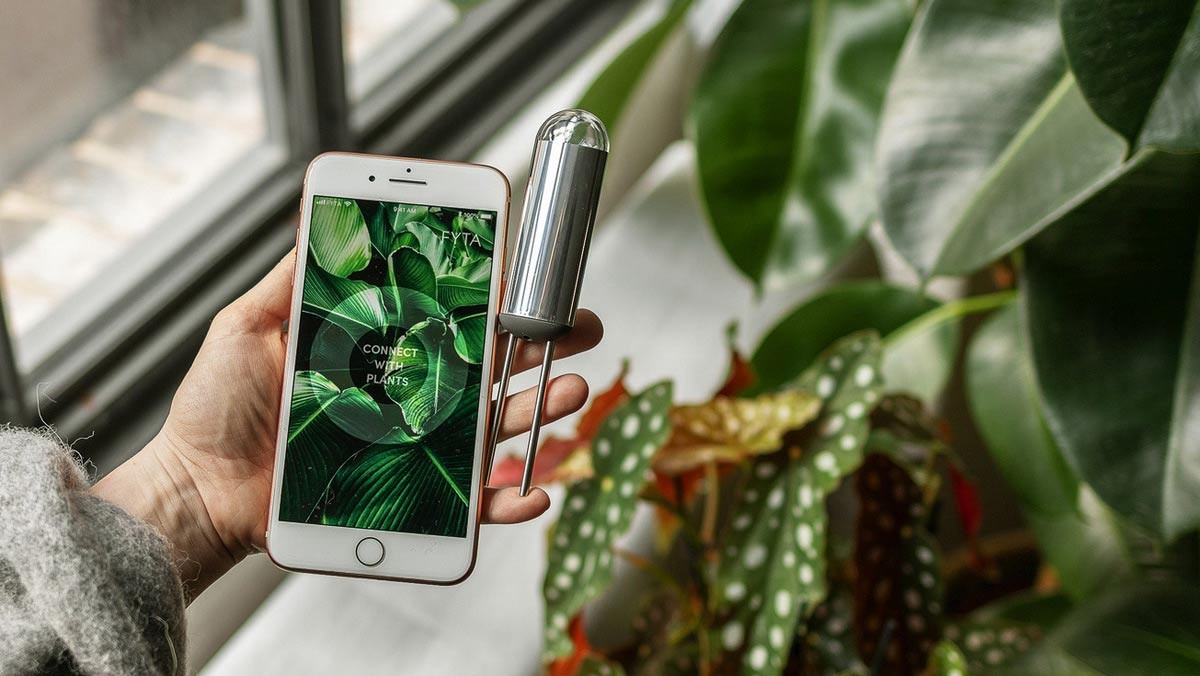 The FYTA Beam measures moisture, the nutrient level in the soil, the temperature and the light intensity. It is controlled by a corresponding app. – Photo: FYTA The FYTA Beam measures moisture, the nutrient level in the soil, the temperature and the light intensity. It is controlled by a corresponding app. – Photo: FYTA