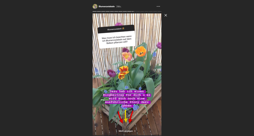 On Sundays the Garten Fräulein offers a regular question and answer session in her Instagram Story. On Sundays the Garten Fräulein offers a regular question and answer session in her Instagram Story.