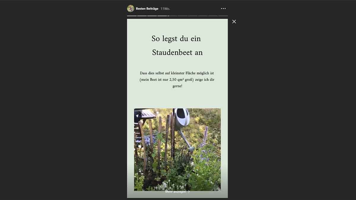 Das Garten Fräulein bietet ihren Nutzern viele Tipps zum erfolgreichen Gärtnern. Das Garten Fräulein bietet ihren Nutzern viele Tipps zum erfolgreichen Gärtnern.