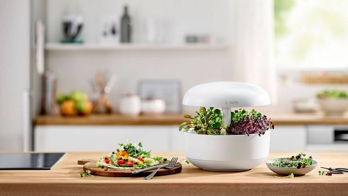 All-in-one indoor gardening system: SmartGrow © Bosch All-in-one indoor gardening system: SmartGrow © Bosch