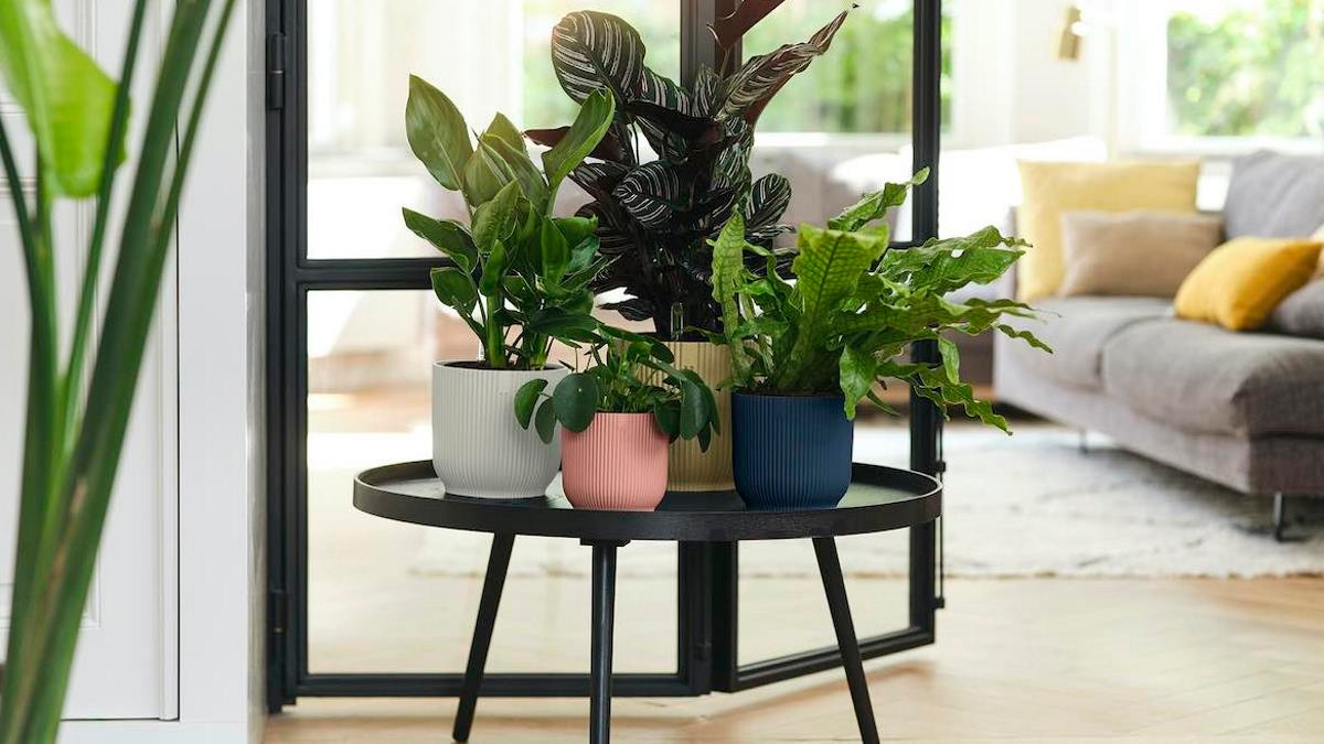 New plant pot collection made from 100 percent recycled plastic: Vibes from elho © elho New plant pot collection made from 100 percent recycled plastic: Vibes from elho © elho