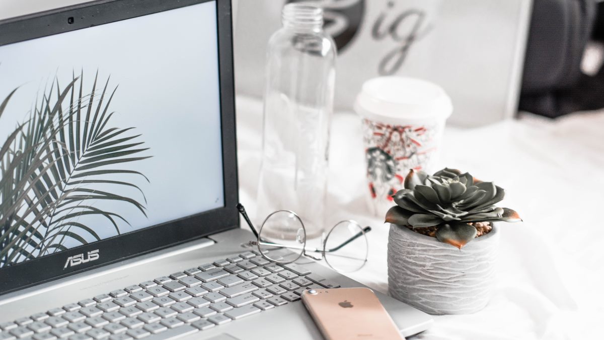 Plants per click Plants per click