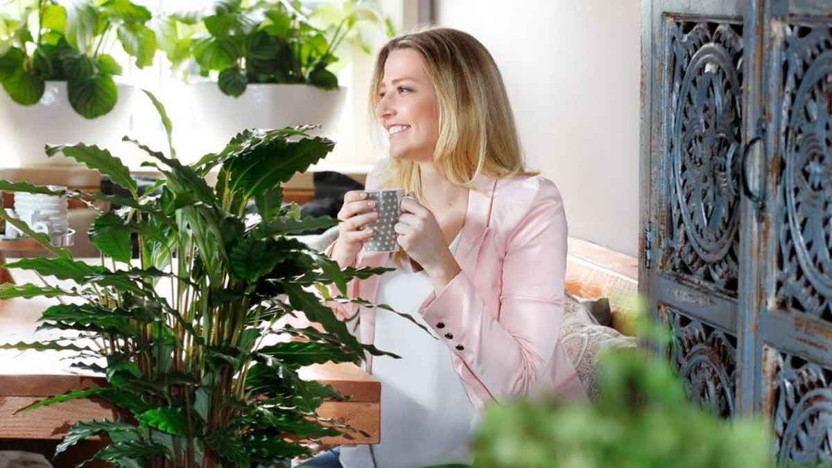 Beim Thema „Living with Plants“ geht es um den Mehrwert von Zimmerpflanzen. – Foto: Air So Pure Beim Thema „Living with Plants“ geht es um den Mehrwert von Zimmerpflanzen. – Foto: Air So Pure