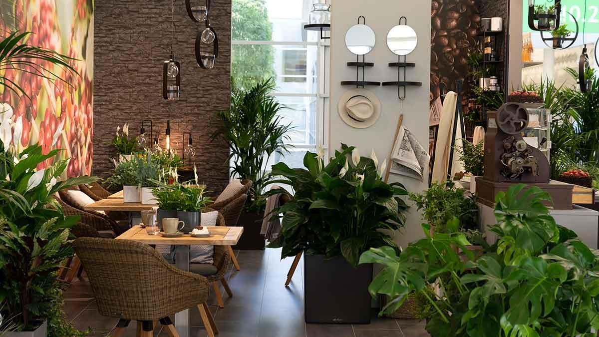 POS Living with Plants POS Living with Plants