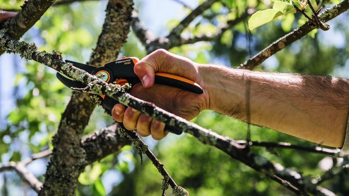 Die Gartenschere „PowerGear“ ist mit wenig Kraftaufwand zu bedienen, da ihr Getriebemechanismus die Schneidkraft verdreifacht. – Foto: Fiskars Die Gartenschere „PowerGear“ ist mit wenig Kraftaufwand zu bedienen, da ihr Getriebemechanismus die Schneidkraft verdreifacht. – Foto: Fiskars
