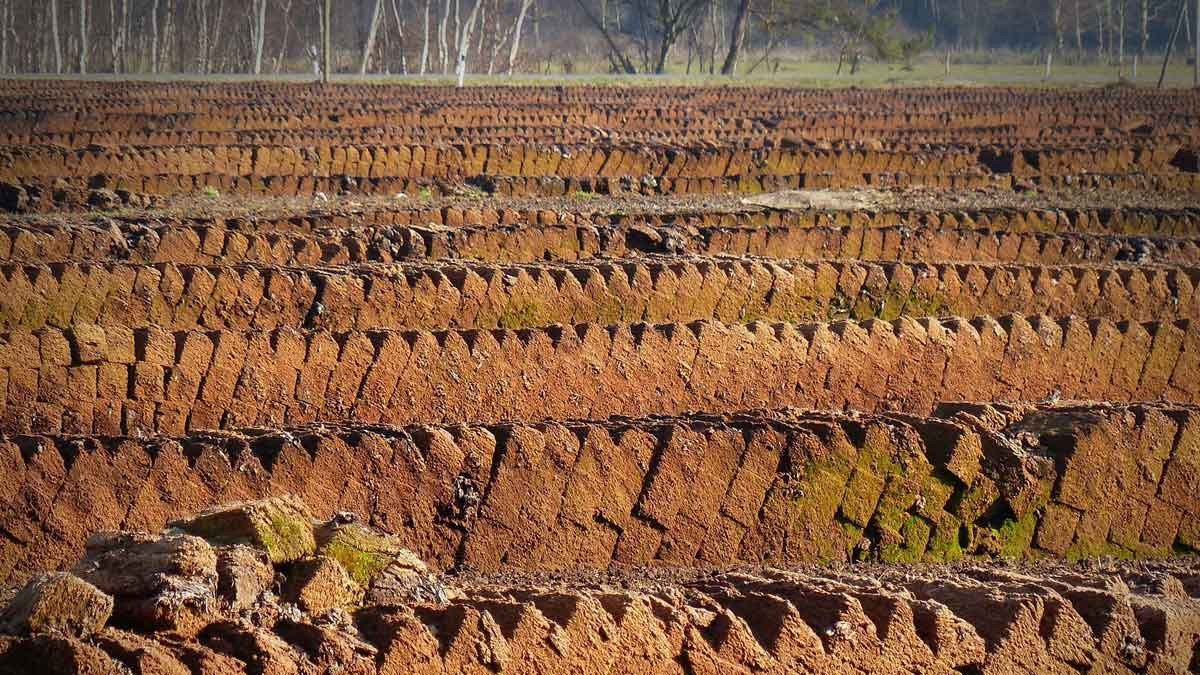 Peat extraction – Photo: bernswaelz / Pixabay Peat extraction – Photo: bernswaelz / Pixabay