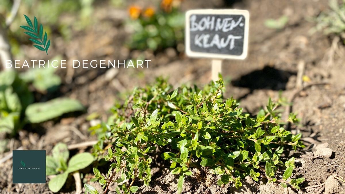 Photo: beatricedegenhart.de Photo: beatricedegenhart.de