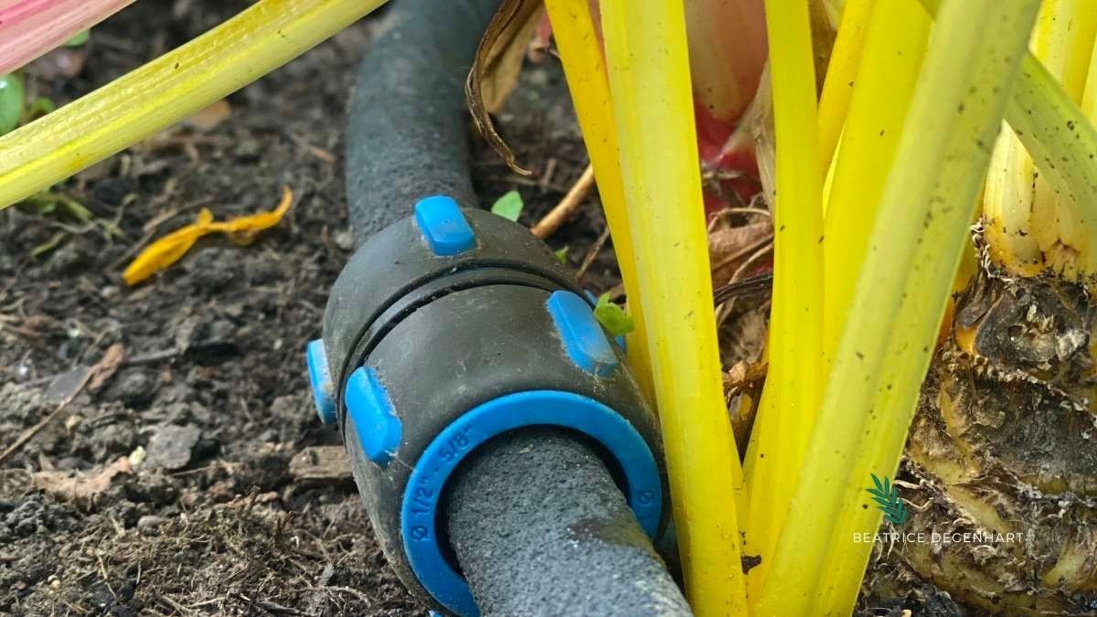 Der Fiskars Tropfschlauch ist das ideale Werkzeug für neue Pflanzungen, Sträucher und Hochbeete und liefert Wasser direkt an die Wurzeln, während die Blätter trocken bleiben. Der Fiskars Tropfschlauch ist das ideale Werkzeug für neue Pflanzungen, Sträucher und Hochbeete und liefert Wasser direkt an die Wurzeln, während die Blätter trocken bleiben.
