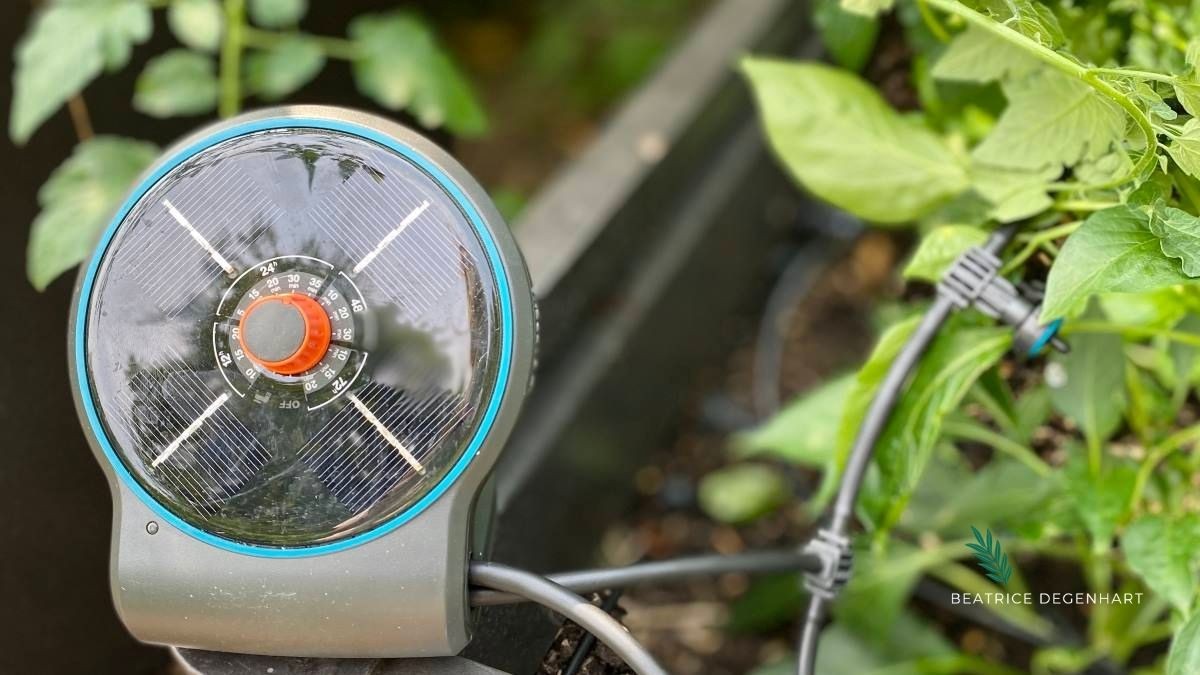 Für die optimale Wasserversorgung in den Töpfen sorgt das Micro-Drip Bewässerungssystem AquaBloom von GARDENA. Für die optimale Wasserversorgung in den Töpfen sorgt das Micro-Drip Bewässerungssystem AquaBloom von GARDENA.