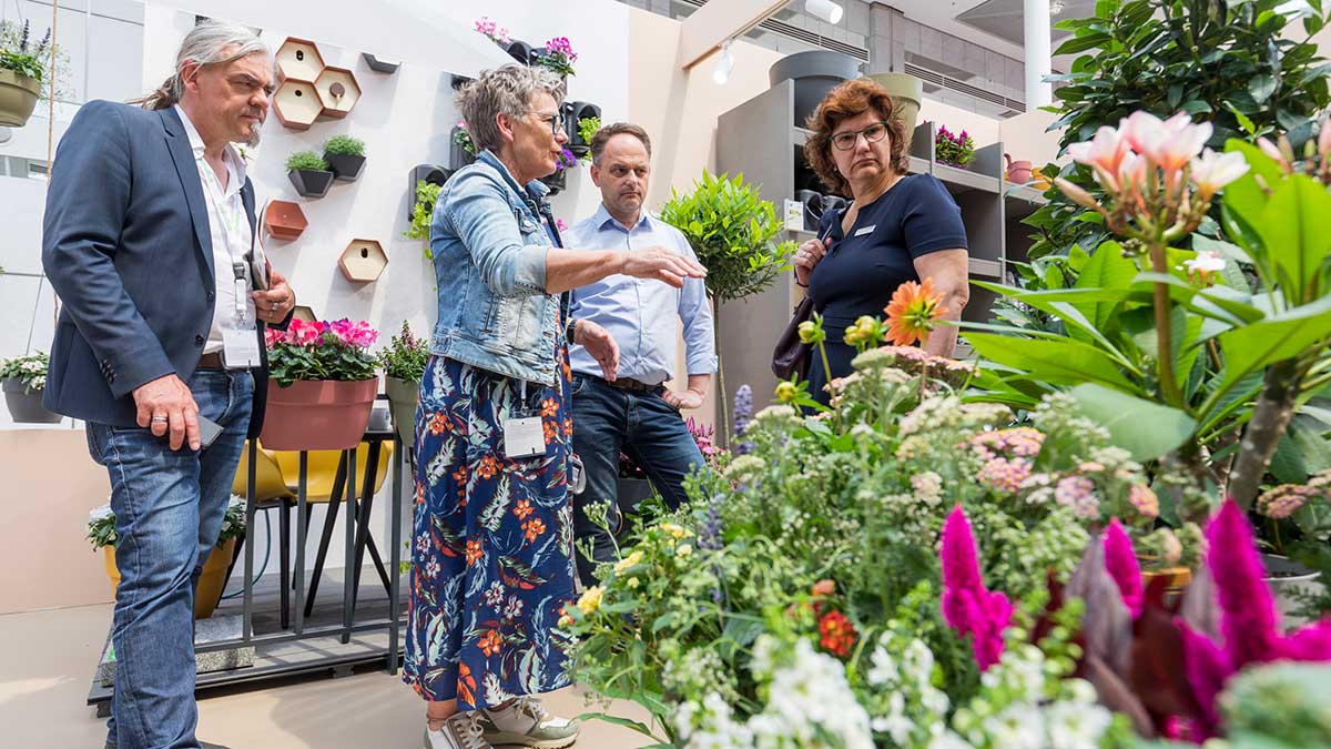 Guided Tours At Spoga Gafa Spogagafa